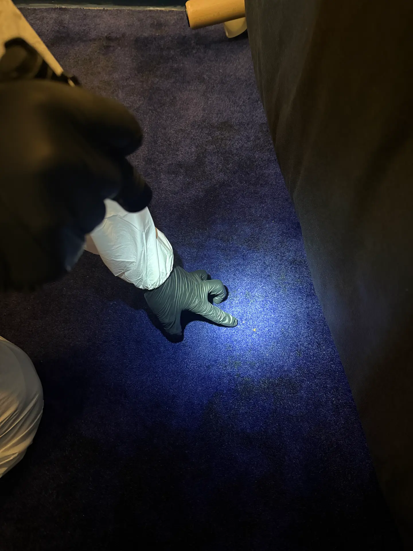 Punaises de lit sur moquette Technicien entrain d'inspecter des punaises de lit