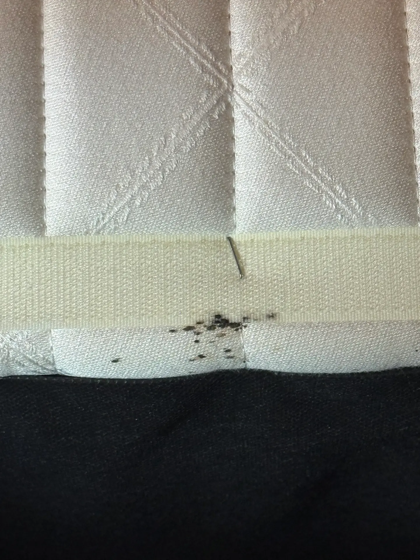 Excréments de punaises de lit Image d'excréments de punaises de lit sur matelas