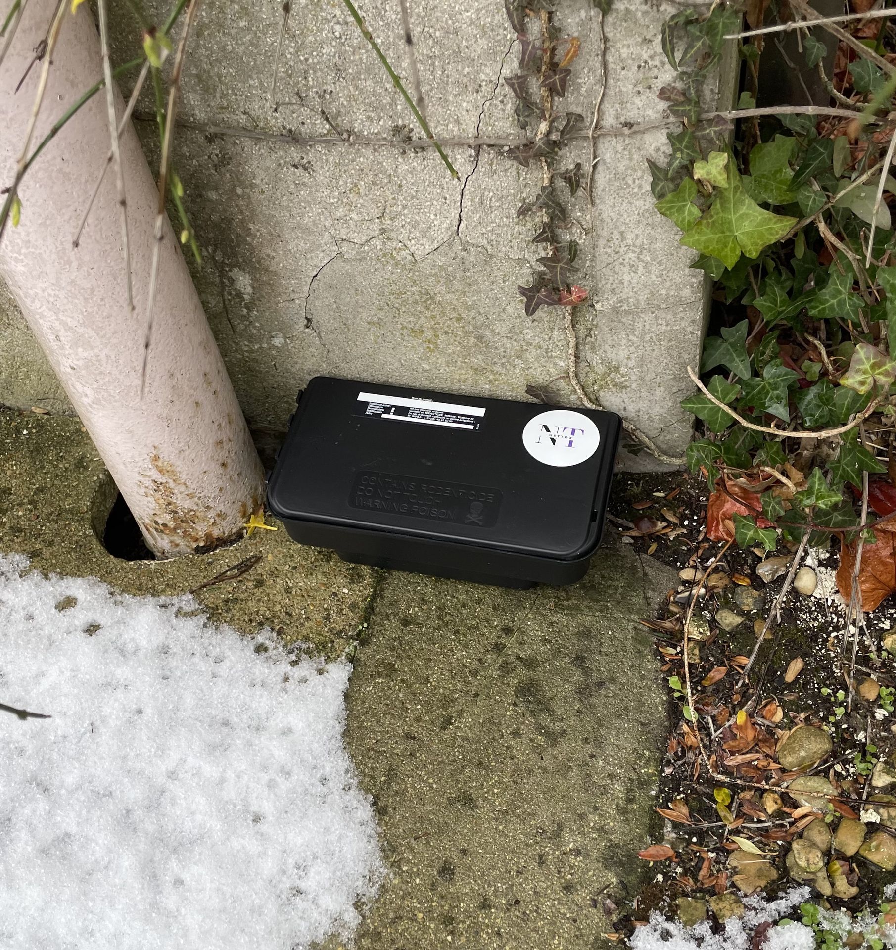 Boite d'appatage Nettox Boite d'appatage avec rodenticide chez un particulier