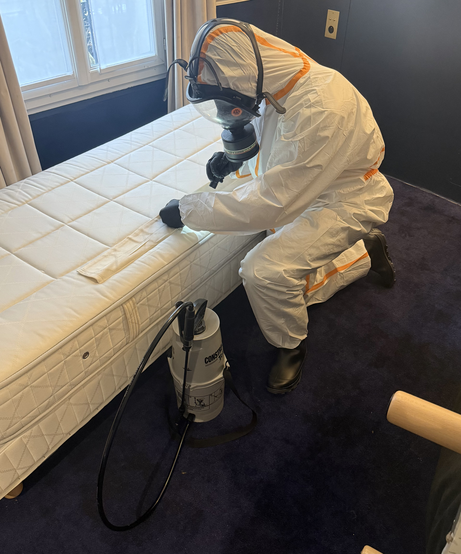 Technicien nettox expertiser punaises de lit Techicien nettox entrain d'expertiser des punaises de lit dans une chambre