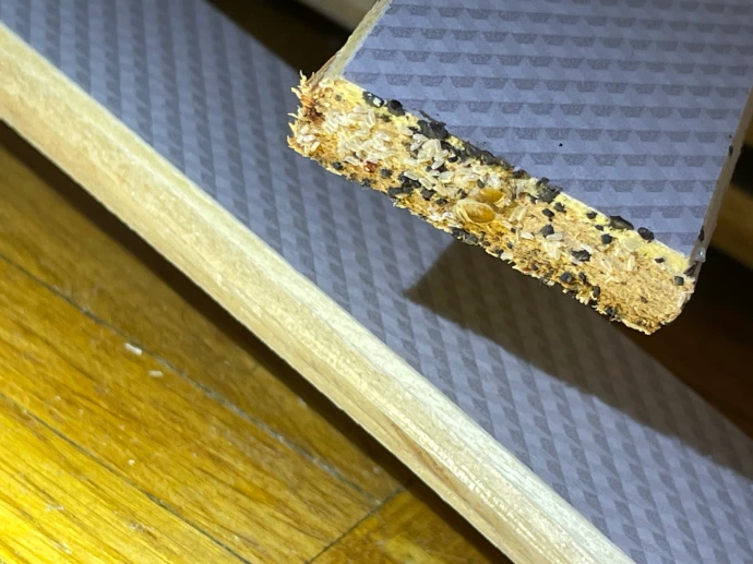 Oeufs de punaises à disney