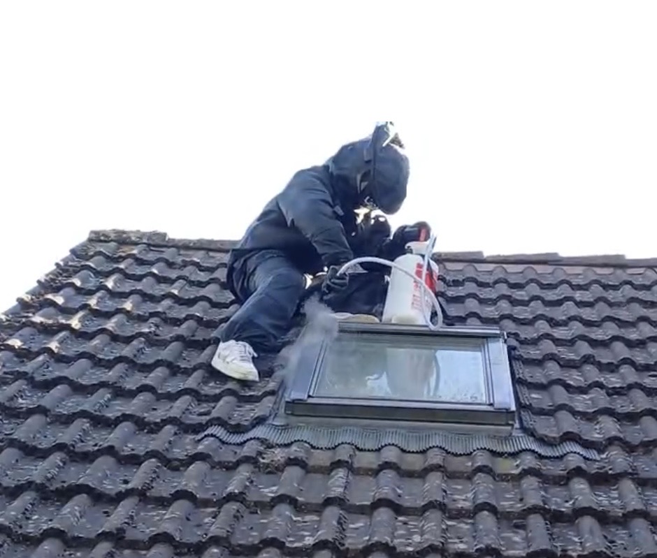 Intervention particuliers toiture frelons à Meaux Intervention frelons Meaux